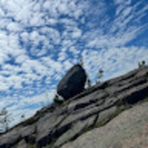 Meet your Posher, Julieann